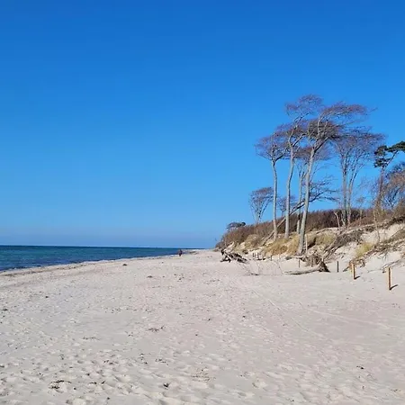 Hustadt In The Heart Of * Zingst