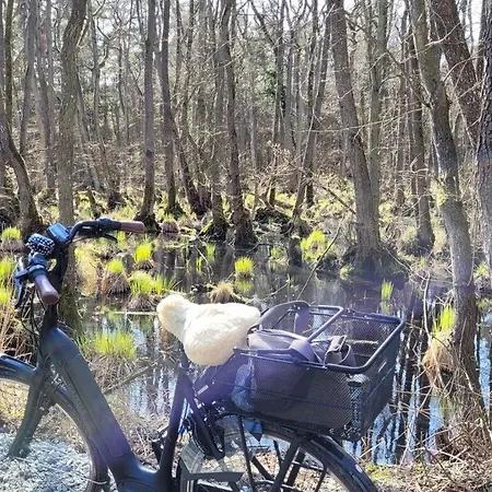 Διαμέρισμα Hustadt In The Heart Of Zingst