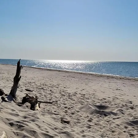 Hustadt In The Heart Of * Zingst