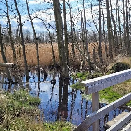 Hustadt In The Heart Of *