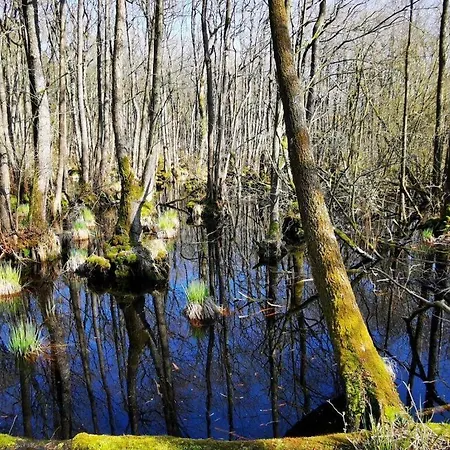 Διαμέρισμα Hustadt In The Heart Of *